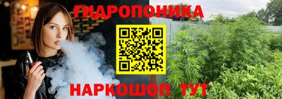 дживик Моздок