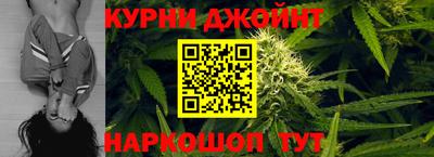 дживик Моздок