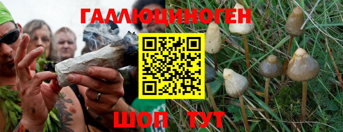 Псилоцибиновые грибы Magic Shrooms  Вход с VPN  Псилоцибиновые грибы мицелий  Чайковский 