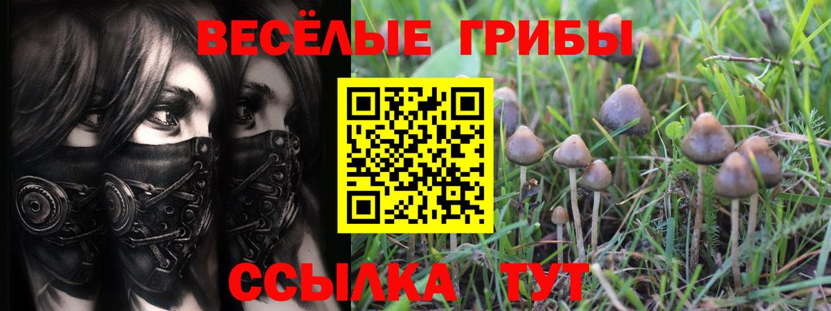 Галлюциногенные грибы мухоморы Чайковский